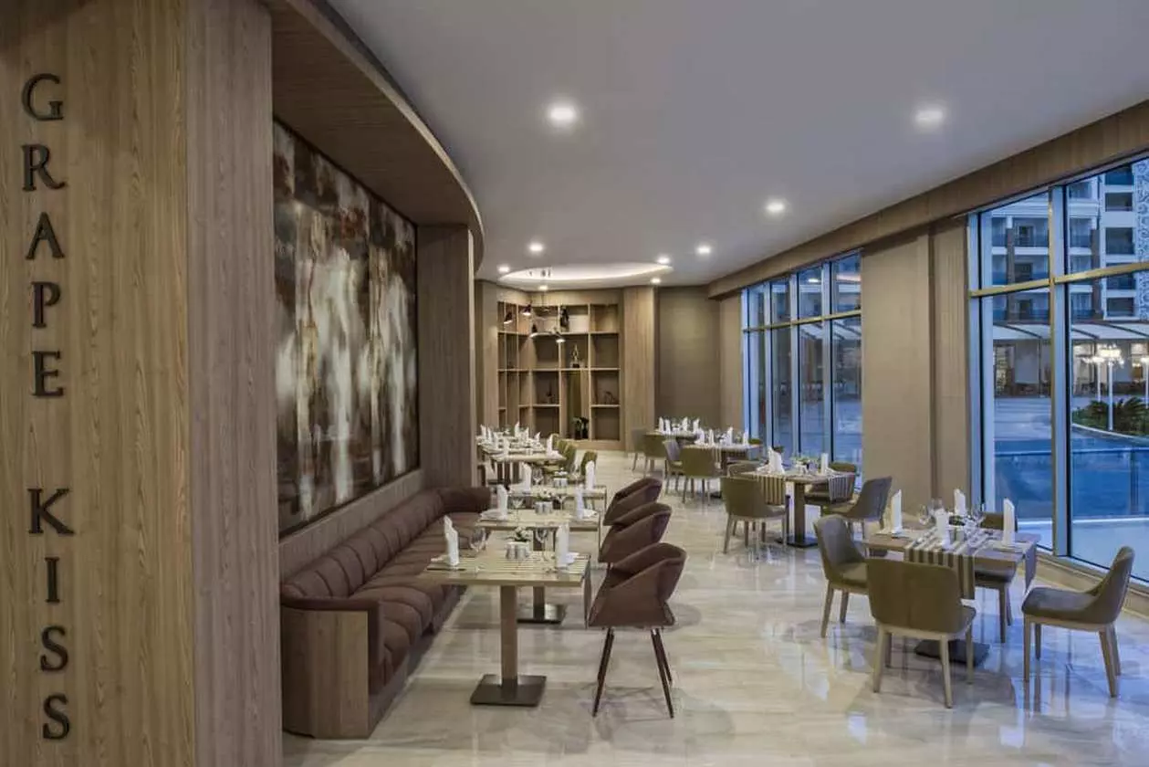 DELHINBEGRAND_SHABAVIZ (3).jpg